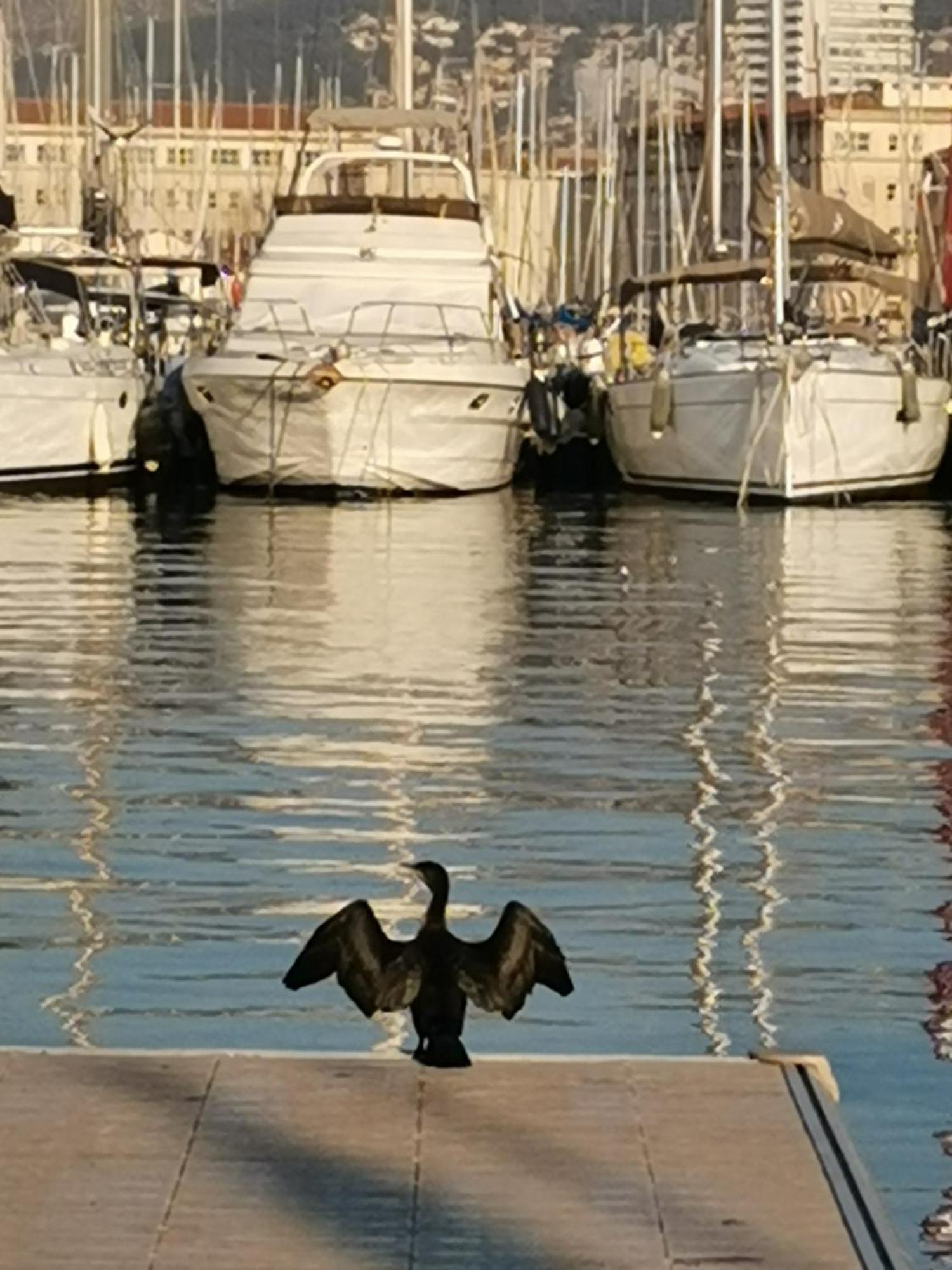 Marina Dream Leilighet Toulon Eksteriør bilde